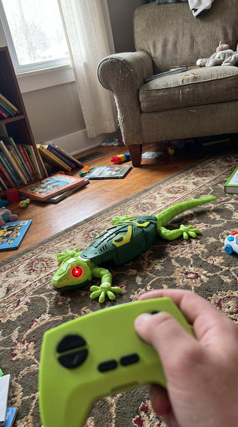 Customer photo: driving GeckoZoom with the remote at home